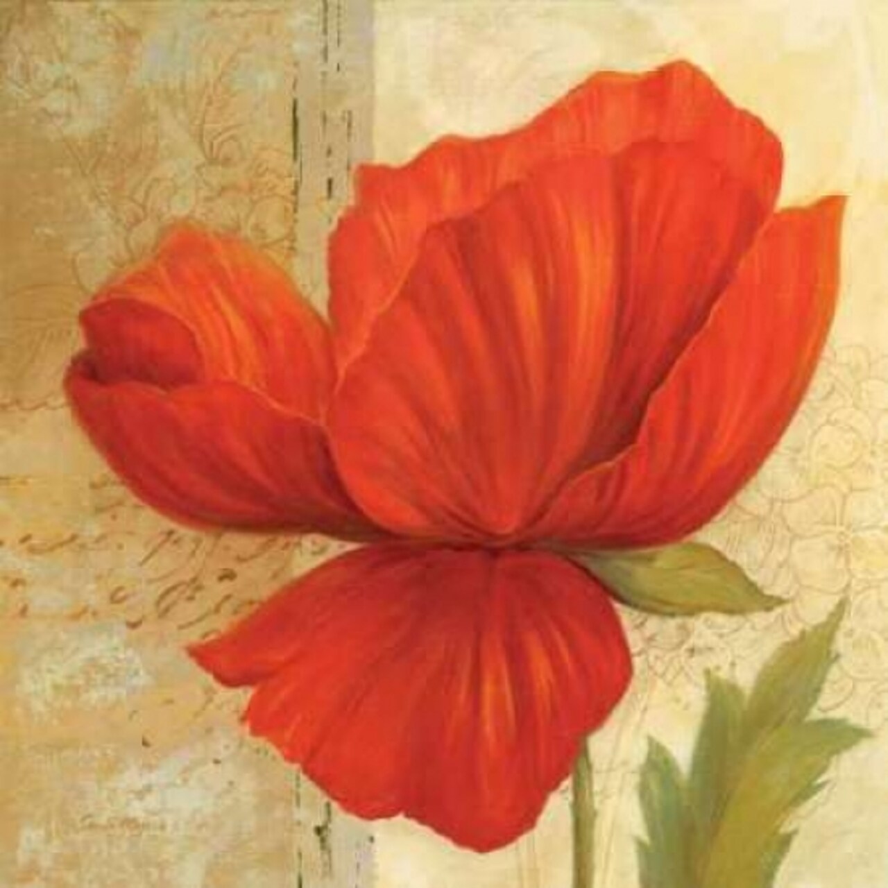 Papaver I Poster Print by Pamela Gladding - Item # VARPDXGLA605